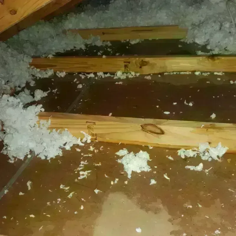 Attic Water Damage in Dare County, NC