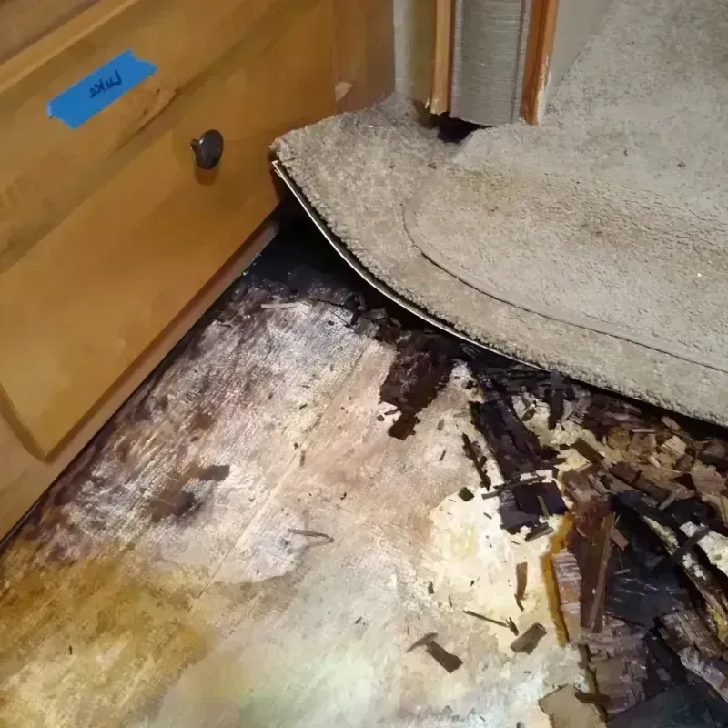 Wood Floor Water Damage in Dare County, NC